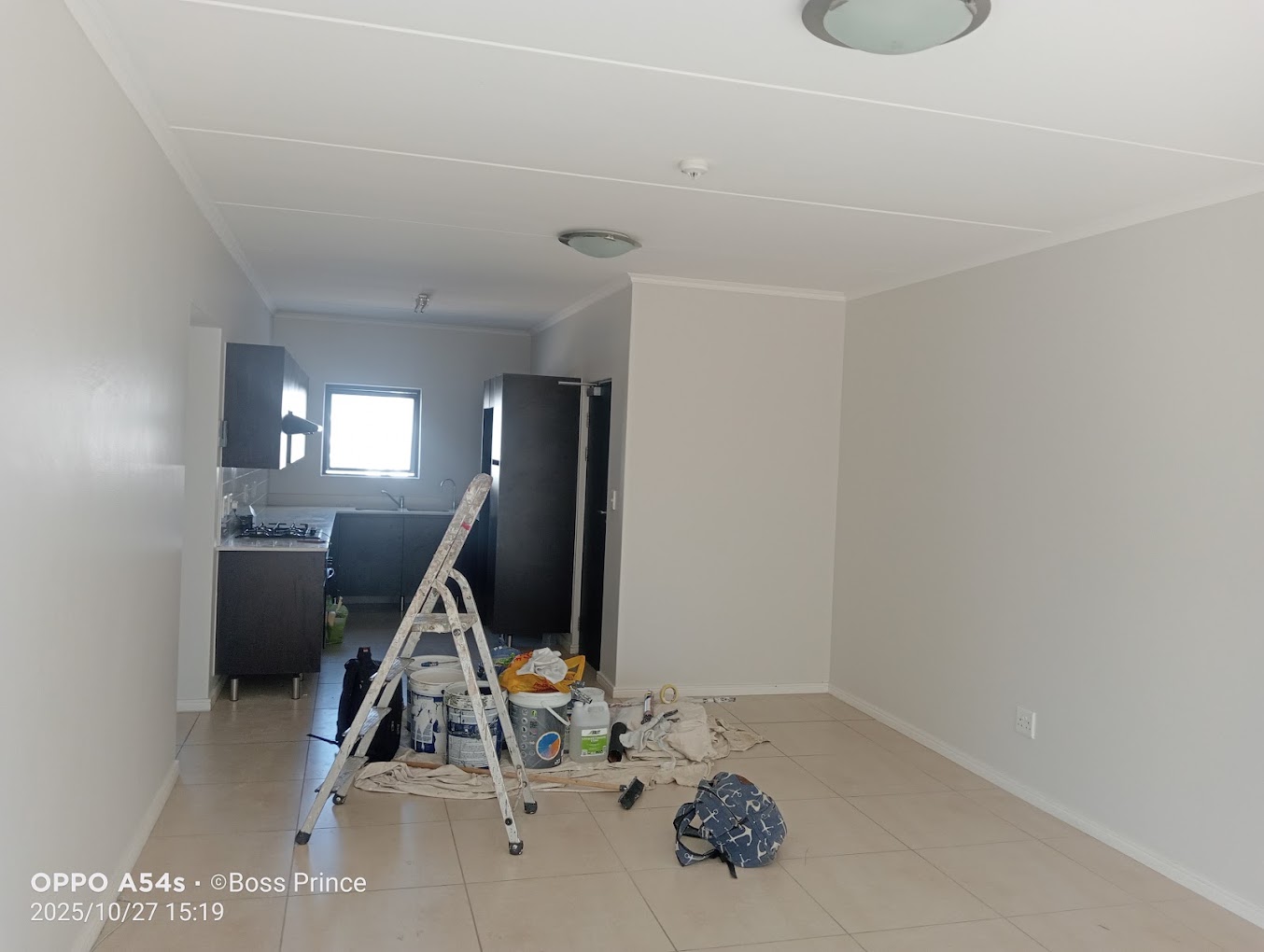 Living Room Painting